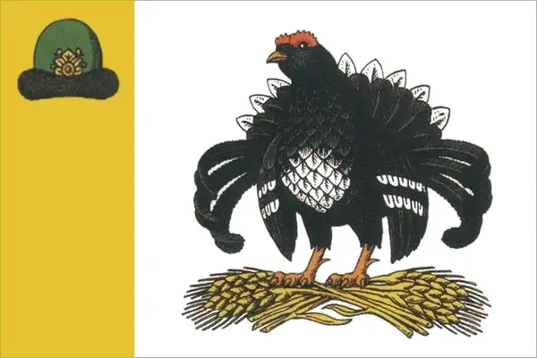 Флаг: Пителинский район